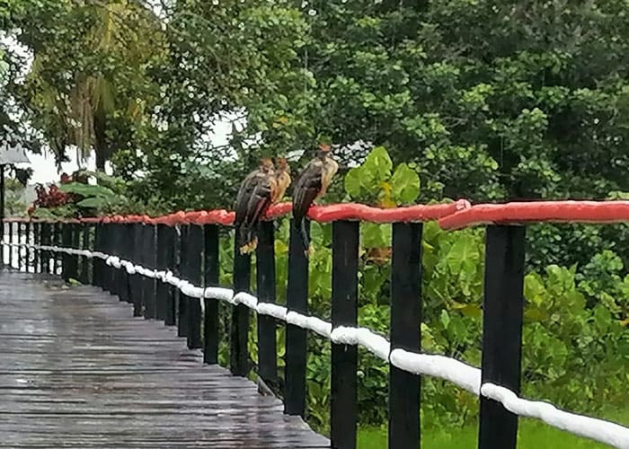 Sin título-1_0003_IMG-20230327-WA0013