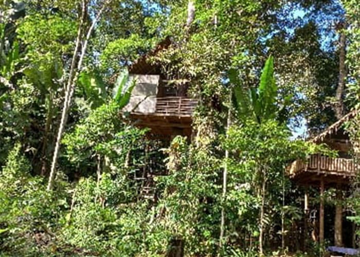 Sin título-1_0019_IMG-20220307-WA0001